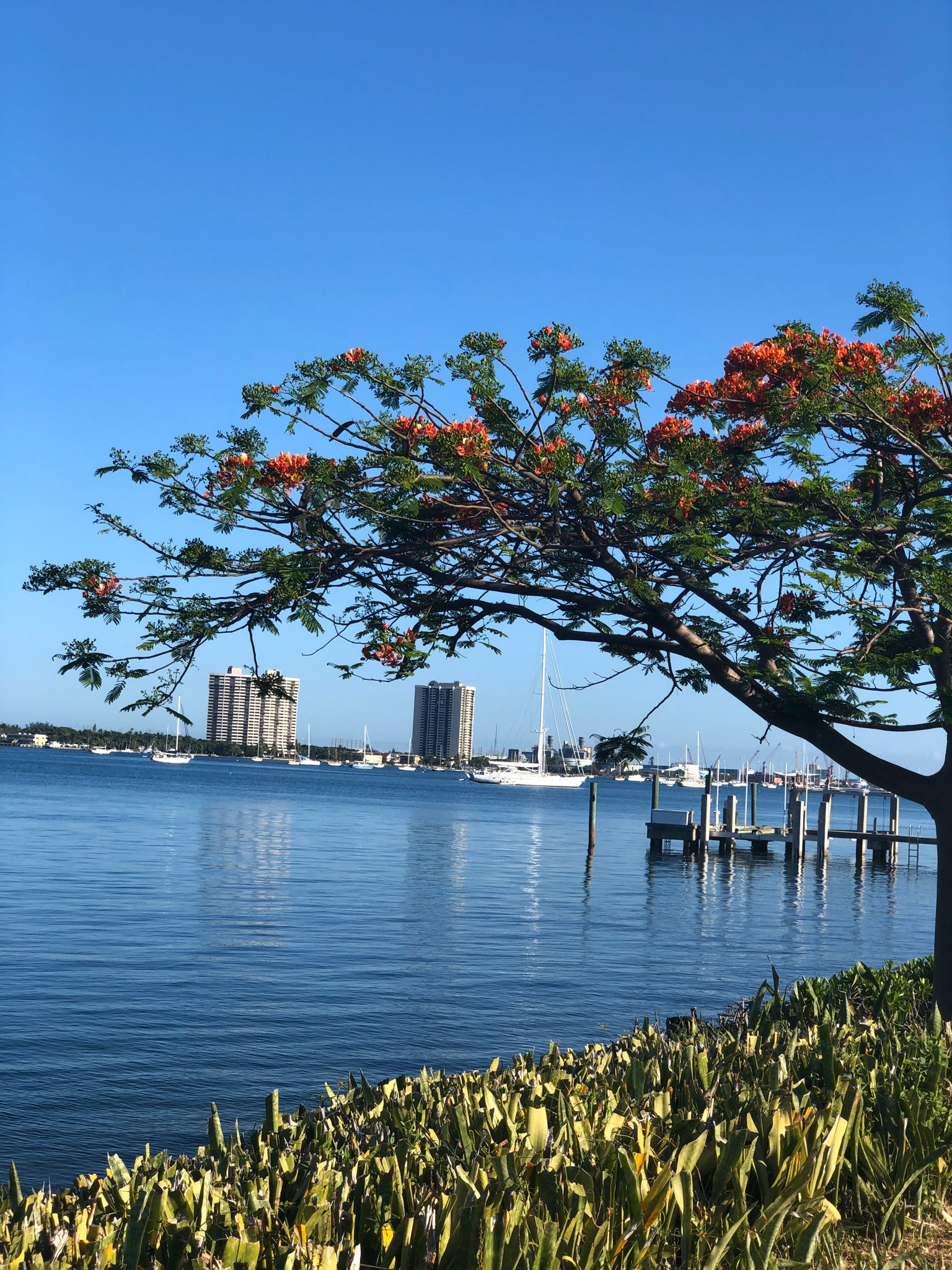 Palm Beach Island doctor